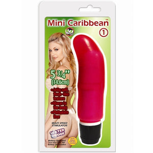 Mini Caribbean - 1 G-Spot - Pink GT199-1